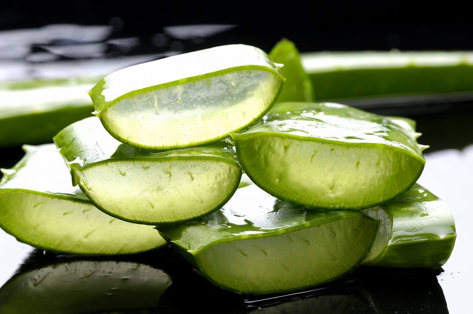 aloe vera